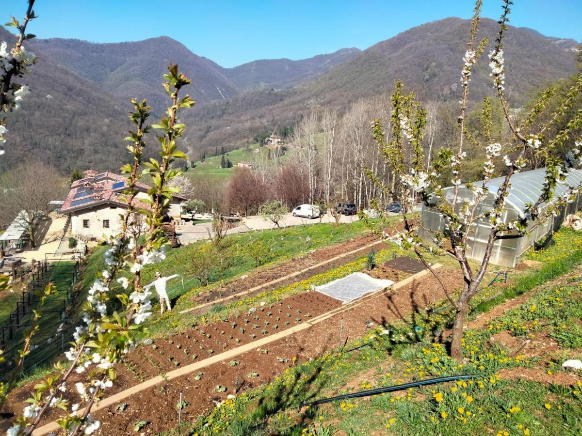Agriturismo Ca' Fenile Alzano Lombardo Extérieur photo