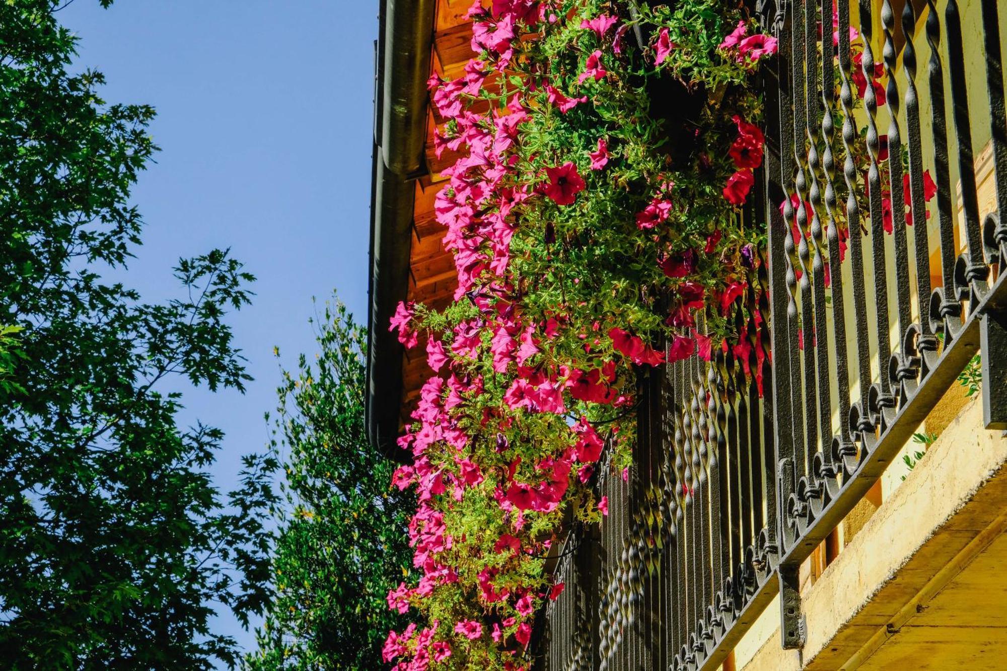 Agriturismo Ca' Fenile Alzano Lombardo Extérieur photo